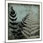 Illuminated Ferns V-Megan Meagher-Mounted Art Print