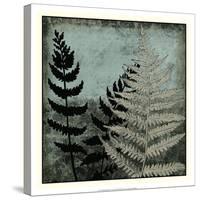 Illuminated Ferns V-Megan Meagher-Stretched Canvas