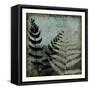 Illuminated Ferns V-Megan Meagher-Framed Stretched Canvas