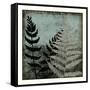 Illuminated Ferns V-Megan Meagher-Framed Stretched Canvas