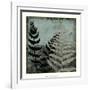 Illuminated Ferns V-Megan Meagher-Framed Art Print