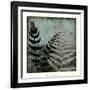 Illuminated Ferns V-Megan Meagher-Framed Art Print