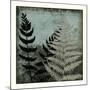 Illuminated Ferns V-Megan Meagher-Mounted Art Print