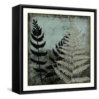 Illuminated Ferns V-Megan Meagher-Framed Stretched Canvas