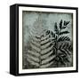 Illuminated Ferns VI-Megan Meagher-Framed Stretched Canvas