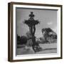 Illuminated Fountain, Designed by Henri Auguste Bartholdi, in the Botanical Gardens-null-Framed Photographic Print