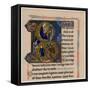 Illuminated Initial Letter 'B, 13th Century-null-Framed Stretched Canvas