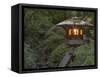 Illuminated Lantern in Portland Japanese Garden, Oregon, USA-William Sutton-Framed Stretched Canvas