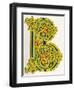 Illuminated Letter B-null-Framed Art Print