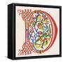 Illuminated Letter D-null-Framed Stretched Canvas