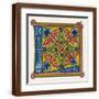 Brown Frame