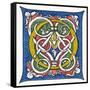 Illuminated Letter O-null-Framed Stretched Canvas