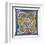 Illuminated Letter O-null-Framed Art Print