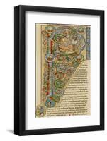 Illuminated Letter "P" Showing King Solomon Writing His "Proverbs", from a German Bible-null-Framed Photographic Print