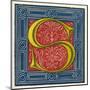 Illuminated Letter S-null-Mounted Art Print