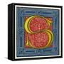 Illuminated Letter S-null-Framed Stretched Canvas