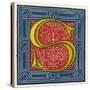 Illuminated Letter S-null-Stretched Canvas