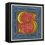 Illuminated Letter S-null-Framed Stretched Canvas