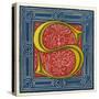 Illuminated Letter S-null-Stretched Canvas