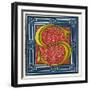 Illuminated Letter S-null-Framed Art Print