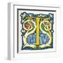 Illuminated Letter T-null-Framed Art Print