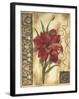 Illuminated Lily I-Ruth Franks-Framed Art Print