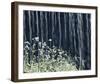 Illuminated Nature-Mikael Svensson-Framed Giclee Print