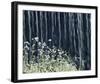 Illuminated Nature-Mikael Svensson-Framed Giclee Print