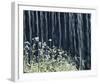 Illuminated Nature-Mikael Svensson-Framed Giclee Print