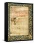 Illuminated Page from the Statutes of the Venice Arsenal, Manuscript, Italy 17th Century-null-Framed Stretched Canvas