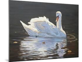 Illuminated Swan-Bruce Dumas-Mounted Giclee Print