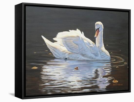 Illuminated Swan-Bruce Dumas-Framed Stretched Canvas