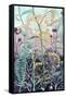 Illuminated Wildflowers I-Grace Popp-Framed Stretched Canvas