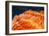 Illuminated-Douglas Taylor-Framed Photographic Print