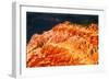 Illuminated-Douglas Taylor-Framed Photographic Print