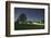 illuminateded park by night-Benjamin Engler-Framed Photographic Print