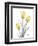 Illuminating Tulip Trio 2-Albert Koetsier-Framed Premium Photographic Print