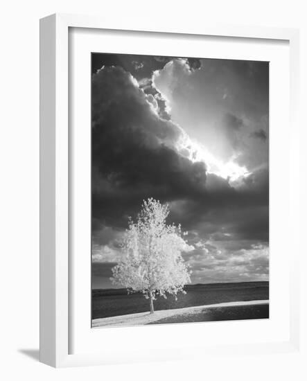 Illumination, Baraga, Michigan ‘10-Monte Nagler-Framed Photographic Print