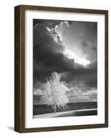 Illumination, Baraga, Michigan ‘10-Monte Nagler-Framed Photographic Print