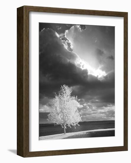 Illumination, Baraga, Michigan ‘10-Monte Nagler-Framed Photographic Print