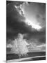 Illumination, Baraga, Michigan ‘10-Monte Nagler-Mounted Photographic Print