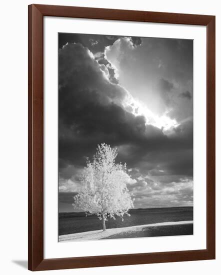 Illumination, Baraga, Michigan ‘10-Monte Nagler-Framed Photographic Print