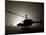 Illumination from the Bright Light Silhouettes of OH-58D Kiowa Helicopter During Thick Fog-Stocktrek Images-Mounted Photographic Print
