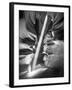 Illumination II-Moises Levy-Framed Photographic Print