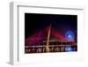 Illumination of Tran Thi Ly Bridge over the Han River, Tet Festival, New Year celebration, Vietnam.-Tom Norring-Framed Photographic Print