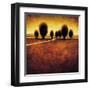 Illumination-Gregory Williams-Framed Art Print