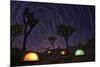 Illuminous Light Painted Landscape of Camping and Stars in Joshua Tree National Park-tobkatrina-Mounted Photographic Print