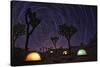 Illuminous Light Painted Landscape of Camping and Stars in Joshua Tree National Park-tobkatrina-Stretched Canvas