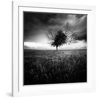 Illusion D'Un Printemps Perdu-Sebastien Del Grosso-Framed Photographic Print