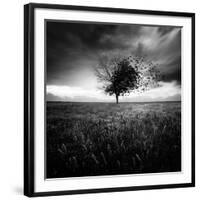 Illusion D'Un Printemps Perdu-Sebastien Del Grosso-Framed Photographic Print